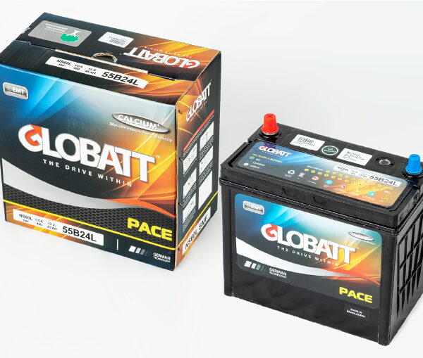 Panabiz-Website-Product-LANDING-PAGE-GLOBATT-55B24L.jpg