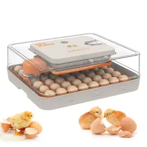 56 Eggs Fully Automatic Egg Incubator AC/DC | Digital Temperature Control